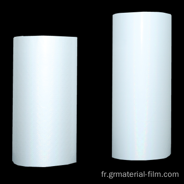 Bopp Plain Film Roll pour l&#39;emballage